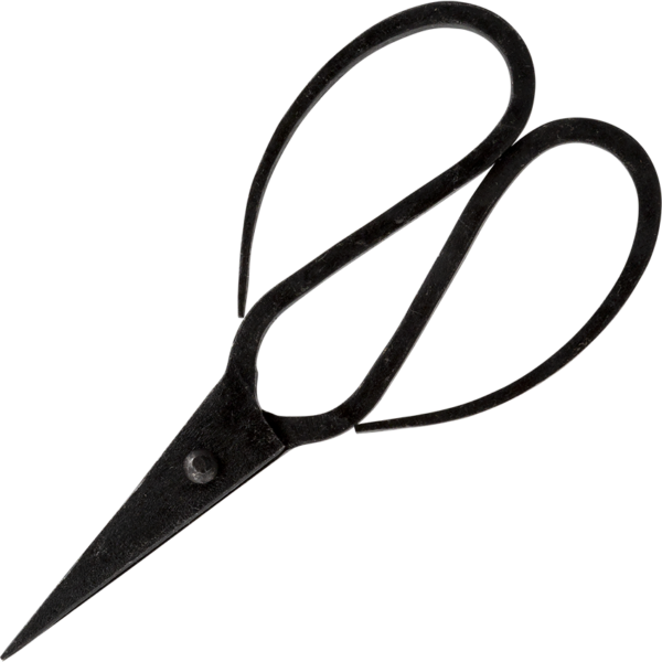 Forged Vintage Scissors