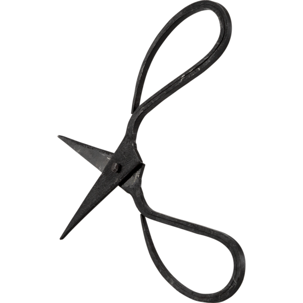 Forged Vintage Scissors