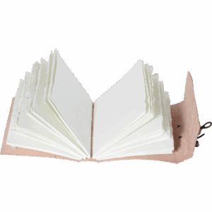 Leather Pentagram Diary
