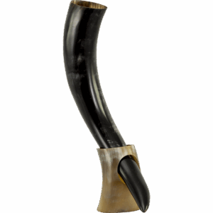 Viking Drinking Horn with Horn Stand