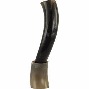 Viking Drinking Horn with Horn Stand