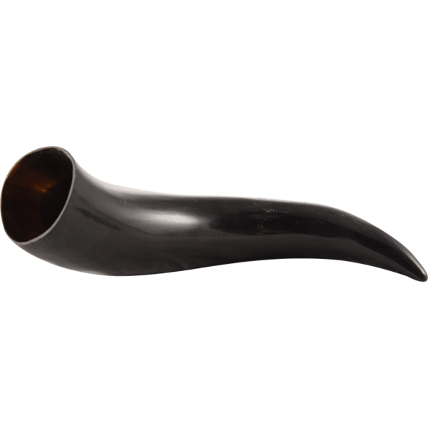 Shield Knot Drinking Horn with Stand