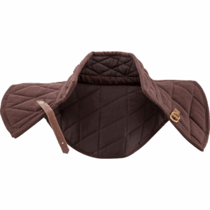 Brass Buckle Padded Collar - Brown