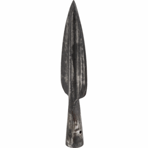 Ridged Leaf Spearhead