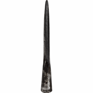 Ridged Leaf Spearhead
