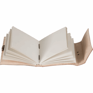 Leather Griffon Journal