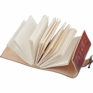 Latched Dragon Eye Journal