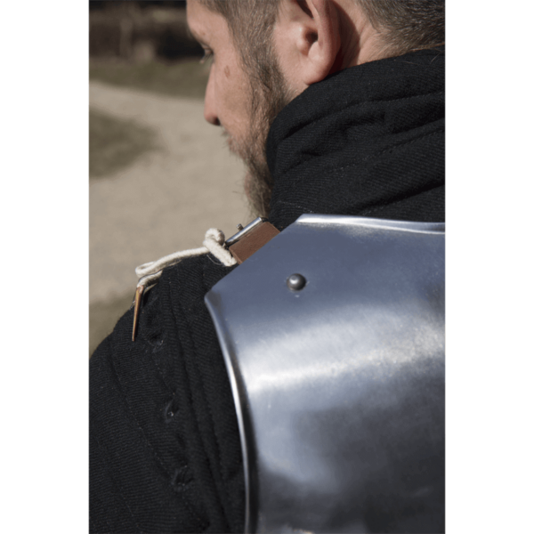 Polished Steel Milanese Armour