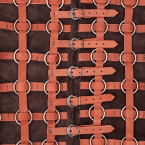 Guntram Ring Armour