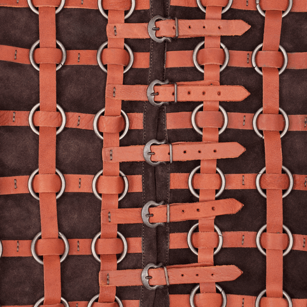 Guntram Ring Armour