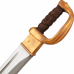 Diego LARP Sabre