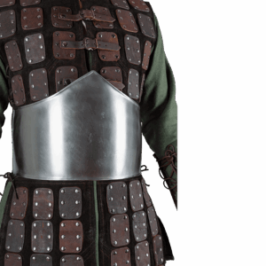Friederich Steel Torso Armour