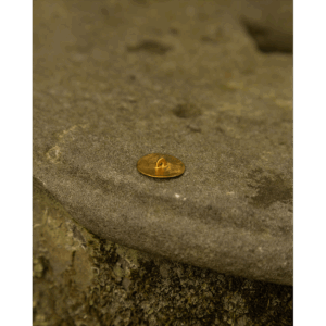 Sun Disk Button