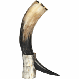 Brass Trim Drinking Horn with Horn Stand