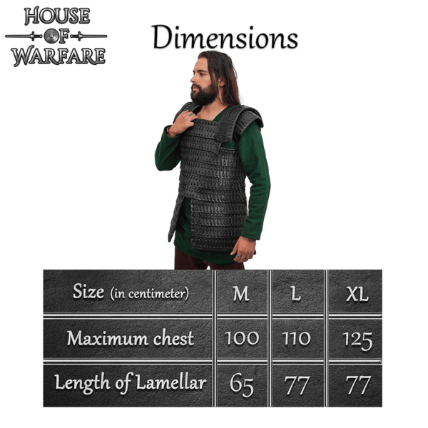 Leather Lamellar Body Armour - Black