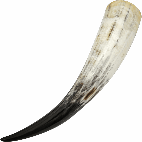 Medieval Drinking Horn