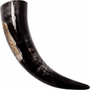 Sea Horse Drinking Horn