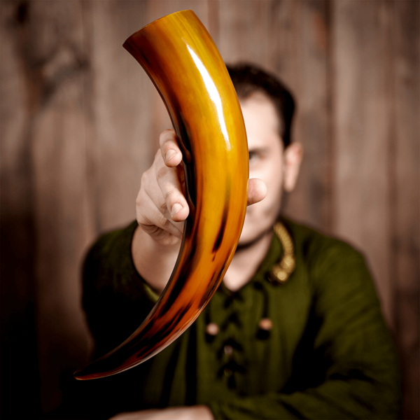 Tinted Medieval Ox Drinking Horn