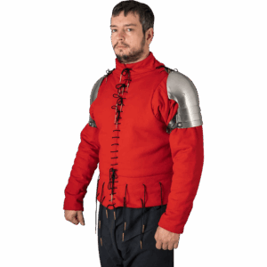 14th Century Steel Pauldrons - Polished