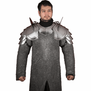 Bladebreaker Warrior Steel Pauldrons - Polished