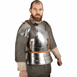 Early 15th Century Pauldrons - Polished