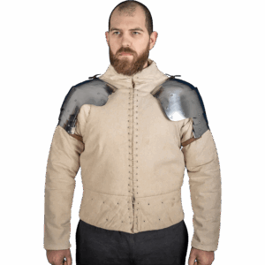German Steel Pauldrons - Polished