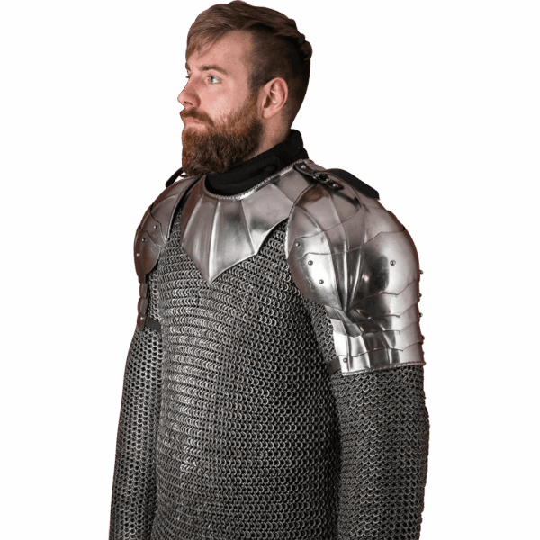 Gothic Steel Pauldrons - Polished