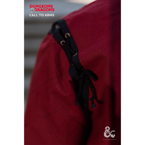 Dungeons & Dragons Fighter Tunic