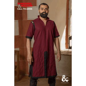 Dungeons & Dragons Fighter Tunic