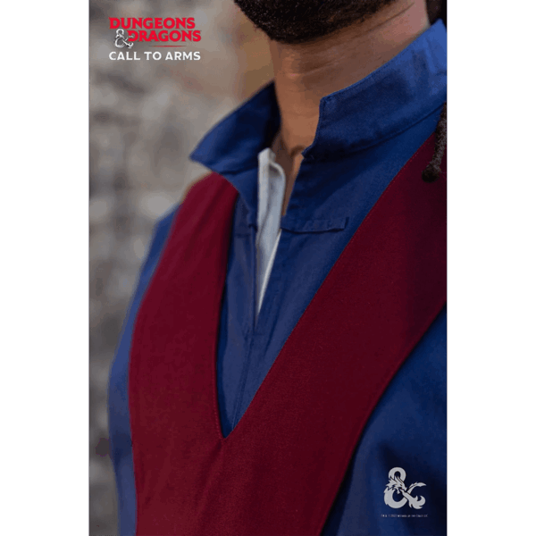 Dungeons & Dragons Wizard Robe