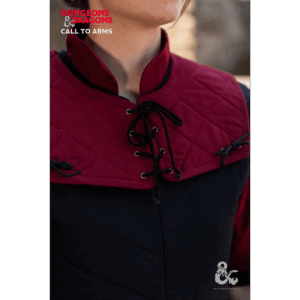 Dungeons & Dragons Fighter Padded Gorget