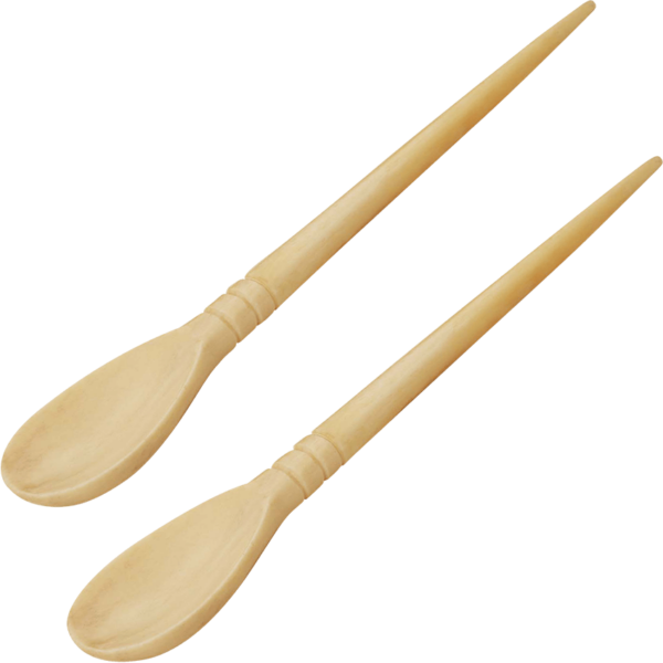 Roman Bone Spoons - Set of 2