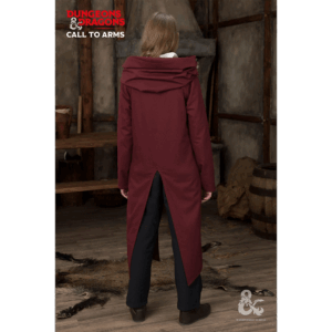 Dungeons & Dragons Paladin Hooded Tunic