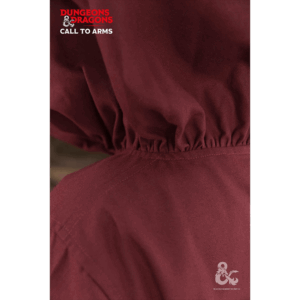 Dungeons & Dragons Paladin Hooded Tunic