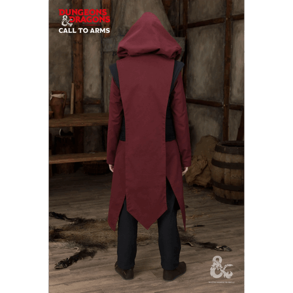Dungeons & Dragons Paladin Tabard