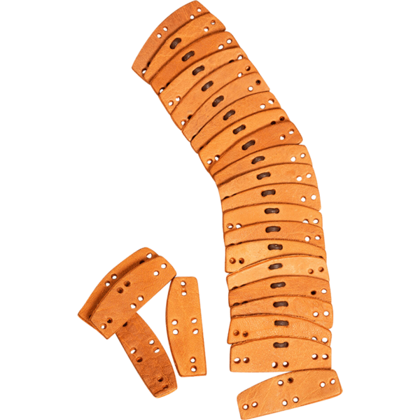 Raude Leather Armour Scales