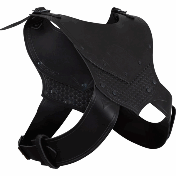 Deluxe Alistair Leather Gorget