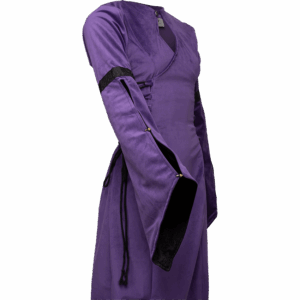 Antaris Velvet Dress
