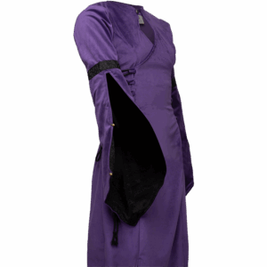 Antaris Velvet Dress