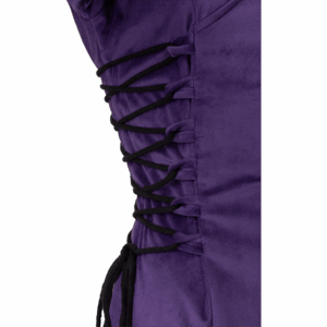 Antaris Velvet Dress