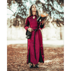 Antaris Velvet Dress