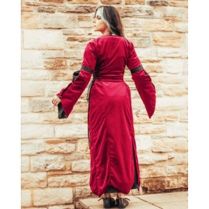 Antaris Velvet Dress