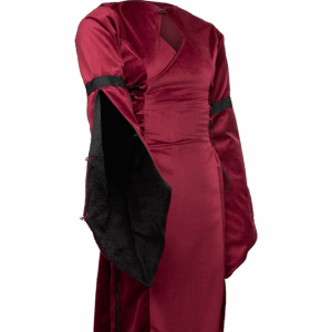 Antaris Velvet Dress