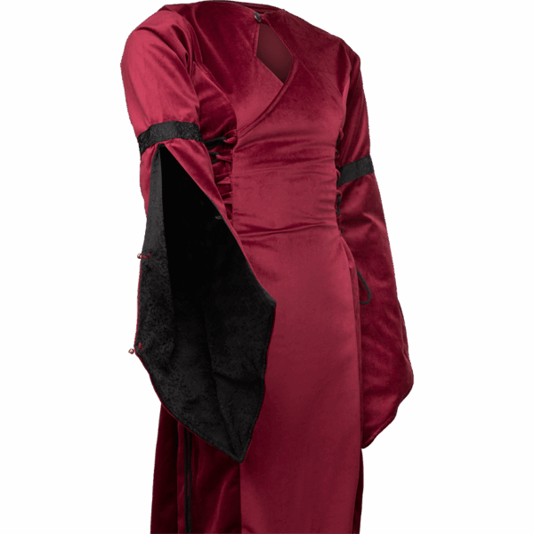 Antaris Velvet Dress