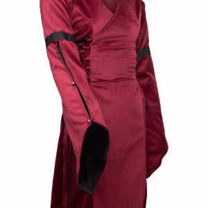 Antaris Velvet Dress