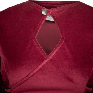 Antaris Velvet Dress