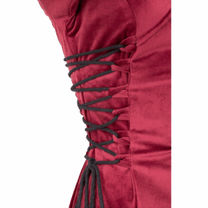 Antaris Velvet Dress