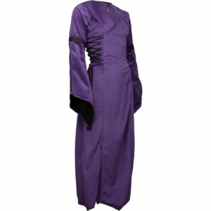 Antaris Velvet Dress