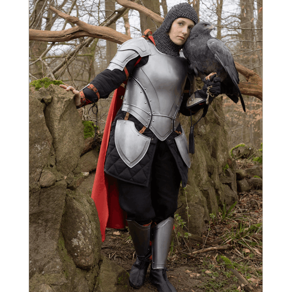 Steel Nova Greaves