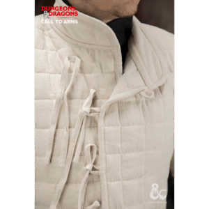 Dungeons & Dragons Basic Gambeson